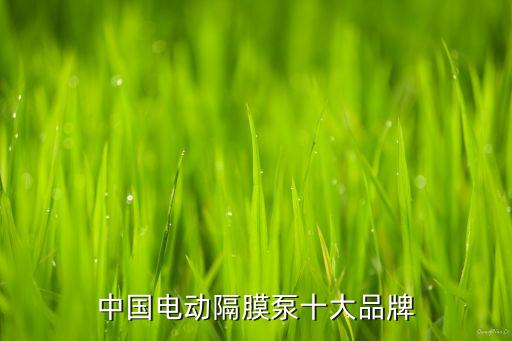 長沙自動(dòng)化科技有限公司,中聯(lián)重科湖南怎么樣?