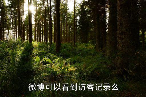  微博可以看到訪客記錄么