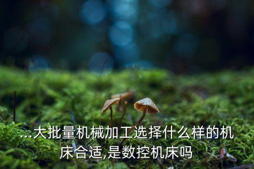 ...大批量機械加工選擇什么樣的機床合適,是數(shù)控機床嗎