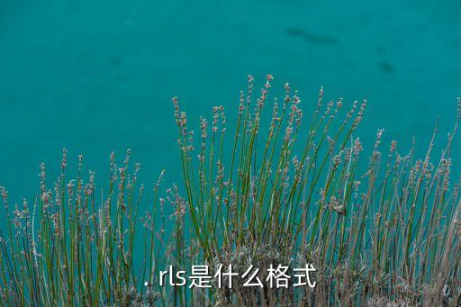 . rls是什么格式