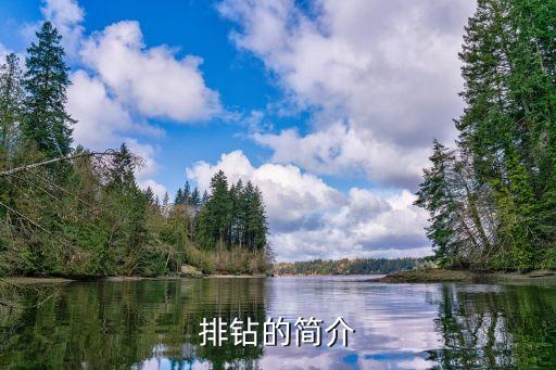 鉆頭自動(dòng)化設(shè)備,一套鉆機(jī)必須具備下列系統(tǒng)和設(shè)備