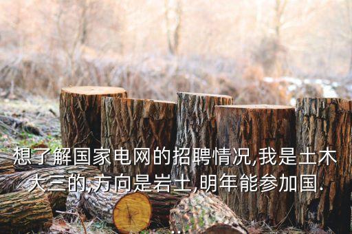 想了解國家電網(wǎng)的招聘情況,我是土木大三的,方向是巖土,明年能參加國...
