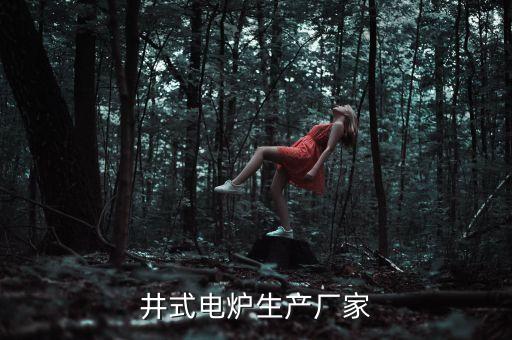 井式電爐生產(chǎn)廠家
