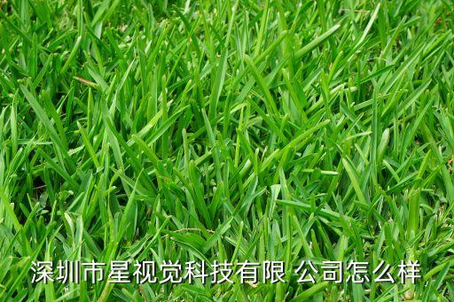 深圳市星視覺科技有限 公司怎么樣