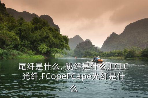 尾纖是什么, 跳纖是什么,LCLC光纖,FCopeFCape光纖是什么