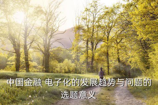 中國金融 電子化的發(fā)展趨勢與問題的選題意義