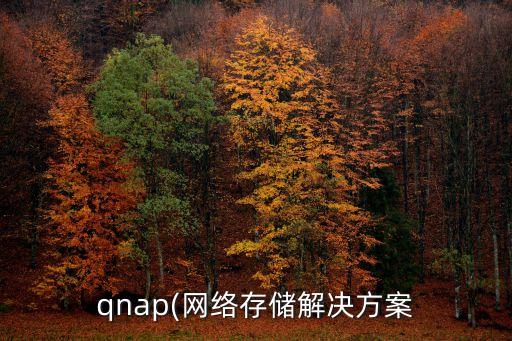 qnap(網(wǎng)絡(luò)存儲解決方案