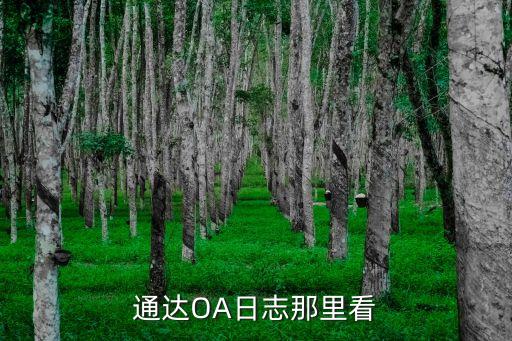 通達(dá)oa,怎么判斷一款通達(dá)oa是正版?
