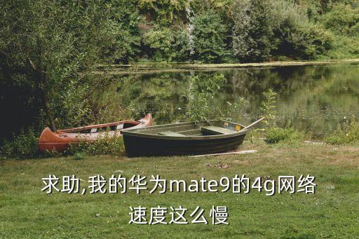 求助,我的華為mate9的4g網(wǎng)絡速度這么慢