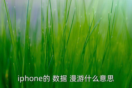 網(wǎng)絡(luò)設(shè)置數(shù)據(jù)漫游是什么意思啊,移動網(wǎng)絡(luò)里面的數(shù)據(jù)漫游是什么意思