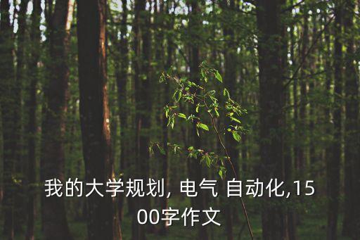 電氣自動化畢業(yè)總結(jié),函授電氣自動化畢業(yè)自我總結(jié)