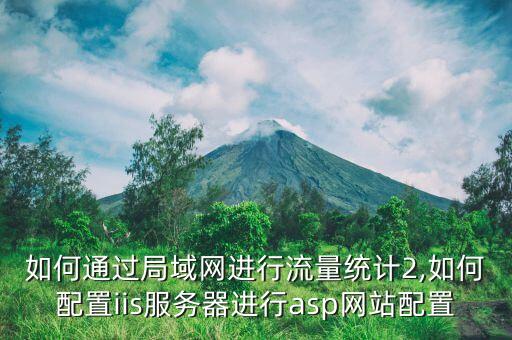 如何通過局域網(wǎng)進行流量統(tǒng)計2,如何配置iis服務器進行asp網(wǎng)站配置