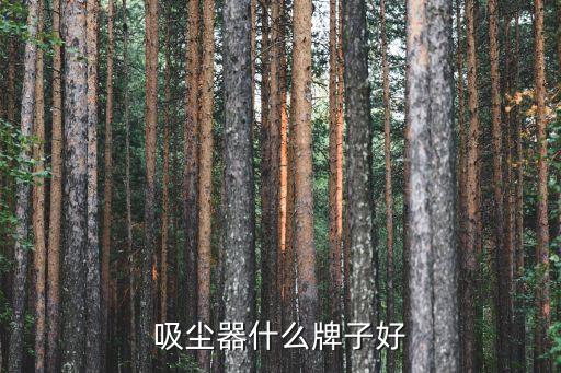 科沃斯商業(yè)機器人,研發(fā)家庭服務(wù)機器人專業(yè)智造者