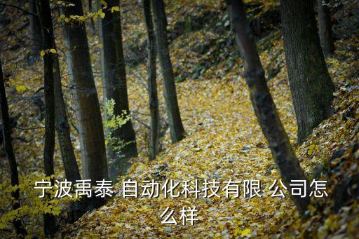 寧波自動(dòng)化營(yíng)銷平臺(tái)公司,自動(dòng)化營(yíng)銷平臺(tái)包括哪些核心模塊