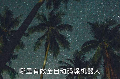 哪里有做全自動碼垛機(jī)器人