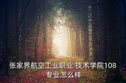 張家界航空工業(yè)職業(yè) 技術學院108 專業(yè)怎么樣