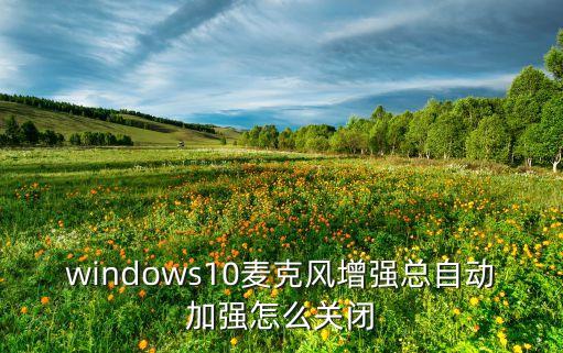 windows10麥克風增強總自動加強怎么關(guān)閉