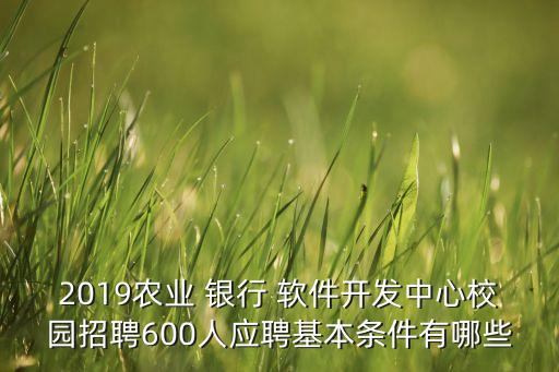 2019農(nóng)業(yè) 銀行 軟件開發(fā)中心校園招聘600人應(yīng)聘基本條件有哪些