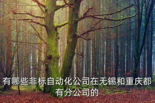 重慶常見非標(biāo)自動化設(shè)備,什么叫非標(biāo)自動化設(shè)備?