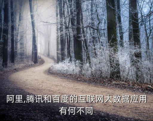 百度大數(shù)據(jù)網(wǎng)站,如何使用百度大數(shù)據(jù)?