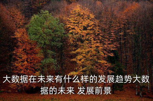 大數(shù)據(jù)分析 發(fā)展前景,前端和數(shù)據(jù)分析哪個(gè)發(fā)展前景好