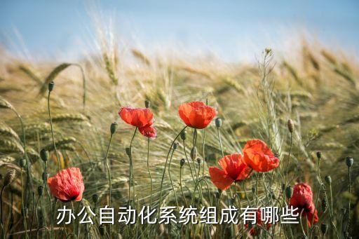辦公自動(dòng)化系統(tǒng)組成有哪些