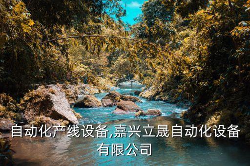 嘉興自動化產(chǎn)線設(shè)備,嘉興立晟自動化設(shè)備有限公司