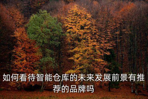 如何看待智能倉(cāng)庫(kù)的未來發(fā)展前景有推薦的品牌嗎