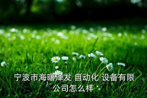  寧波市海曙澤發(fā) 自動(dòng)化 設(shè)備有限公司怎么樣