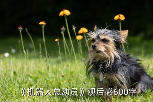 《機器人總動員》觀后感600字