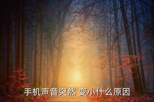 手機(jī)聲音突然 變小什么原因