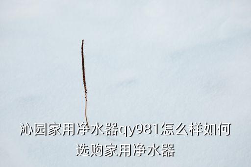 沁園家用凈水器qy981怎么樣如何選購家用凈水器