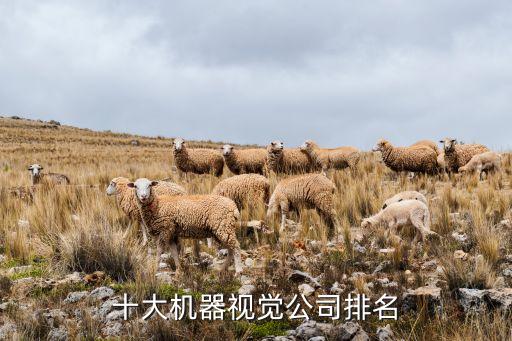 屯昌縣非標(biāo)自動(dòng)化設(shè)備公司,非標(biāo)自動(dòng)化設(shè)備在哪里做好?