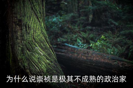 惰政,萬歷為什么突然惰政