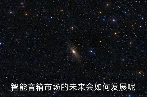 智能音箱市場的未來會如何發(fā)展呢