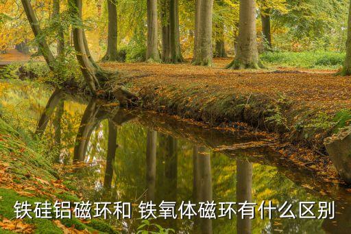 陜西鐵氧體排胚自動(dòng)化設(shè)備