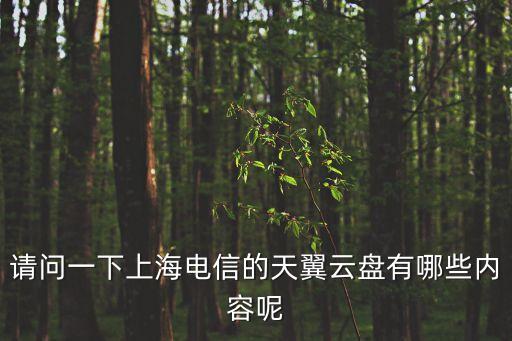 請(qǐng)問(wèn)一下上海電信的天翼云盤有哪些內(nèi)容呢