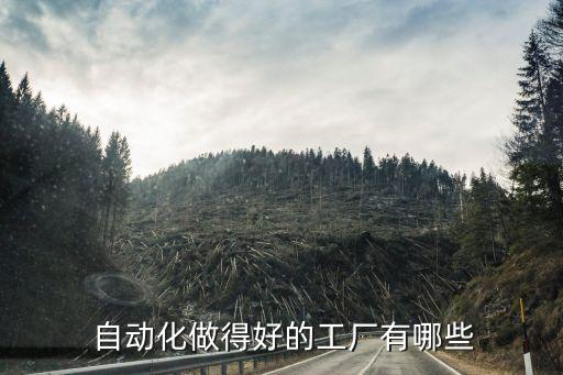  自動(dòng)化做得好的工廠有哪些