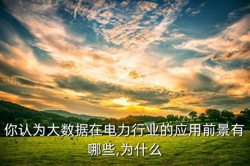 你認(rèn)為大數(shù)據(jù)在電力行業(yè)的應(yīng)用前景有哪些,為什么