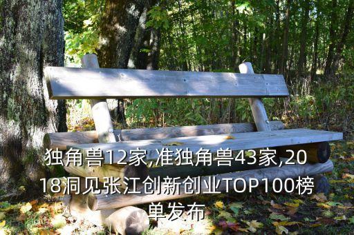 獨角獸12家,準(zhǔn)獨角獸43家,2018洞見張江創(chuàng)新創(chuàng)業(yè)TOP100榜單發(fā)布