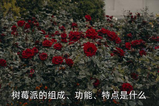 樹莓派開發(fā)機(jī)器人,樹莓派是一種開發(fā)板可進(jìn)行一些設(shè)計(jì)創(chuàng)作