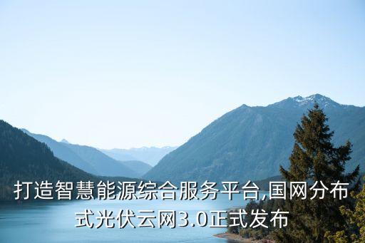 能源 數(shù)據(jù)平臺,智慧能源公共服務(wù)云平臺