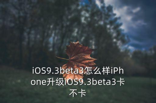 ios9.3.5蜂窩數(shù)據(jù)卡嗎