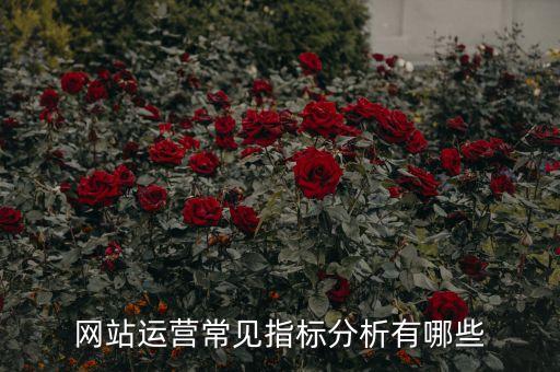網(wǎng)站運(yùn)營(yíng)需要什么數(shù)據(jù),做網(wǎng)站運(yùn)營(yíng)需要什么技術(shù)?