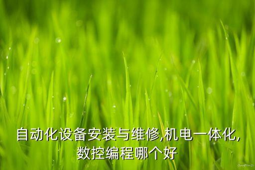 自動(dòng)化設(shè)備安裝與維修,機(jī)電一體化,數(shù)控編程哪個(gè)好