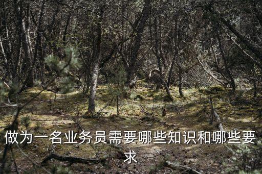 做為一名業(yè)務(wù)員需要哪些知識(shí)和哪些要求