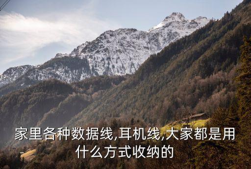 家里各種數(shù)據(jù)線,耳機線,大家都是用什么方式收納的