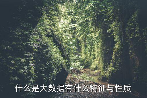 什么是大數(shù)據(jù)有什么特征與性質(zhì)