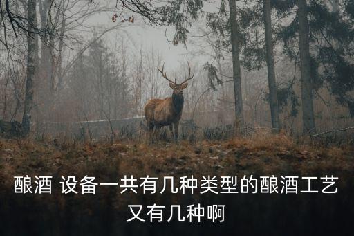 自動(dòng)化燒酒設(shè)備,100公斤小型燒酒設(shè)備