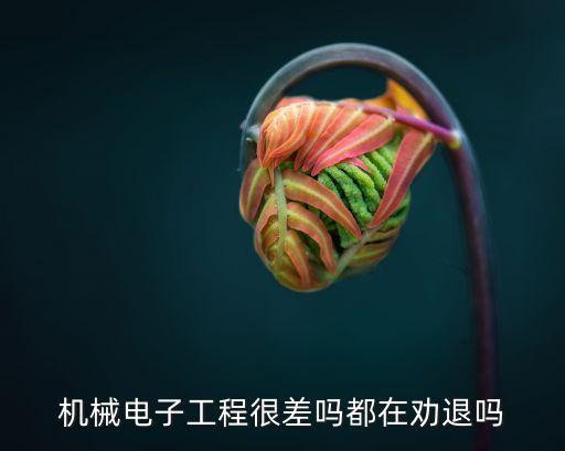 機(jī)電自動(dòng)化專業(yè)后悔嗎,機(jī)電控制及自動(dòng)化專業(yè)